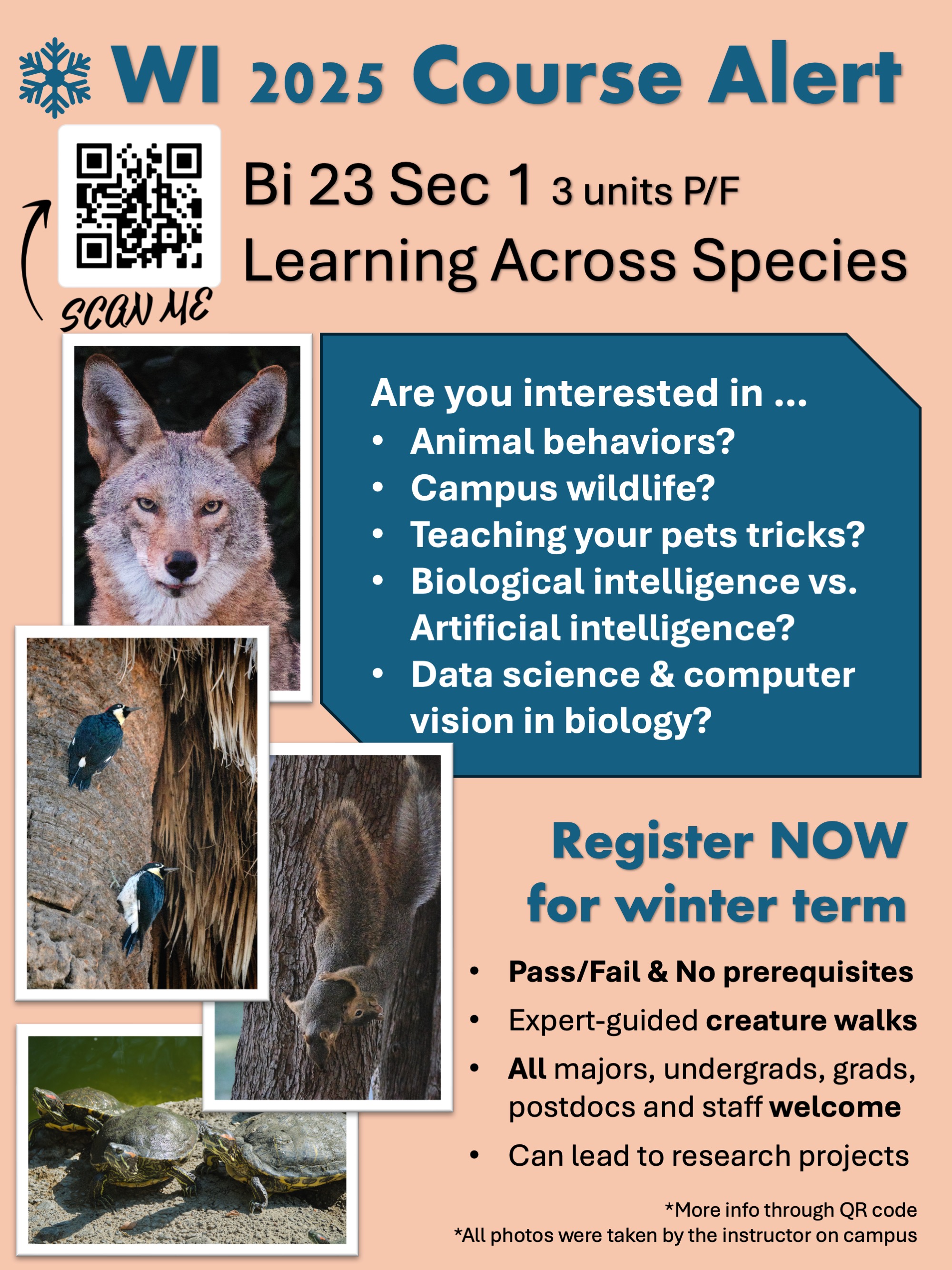 Poster for BI 23: Animal Cognition